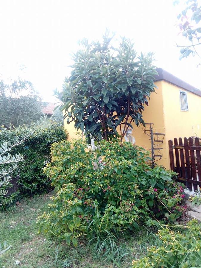 Beb Da Tina Bed and Breakfast Roccasecca Εξωτερικό φωτογραφία
